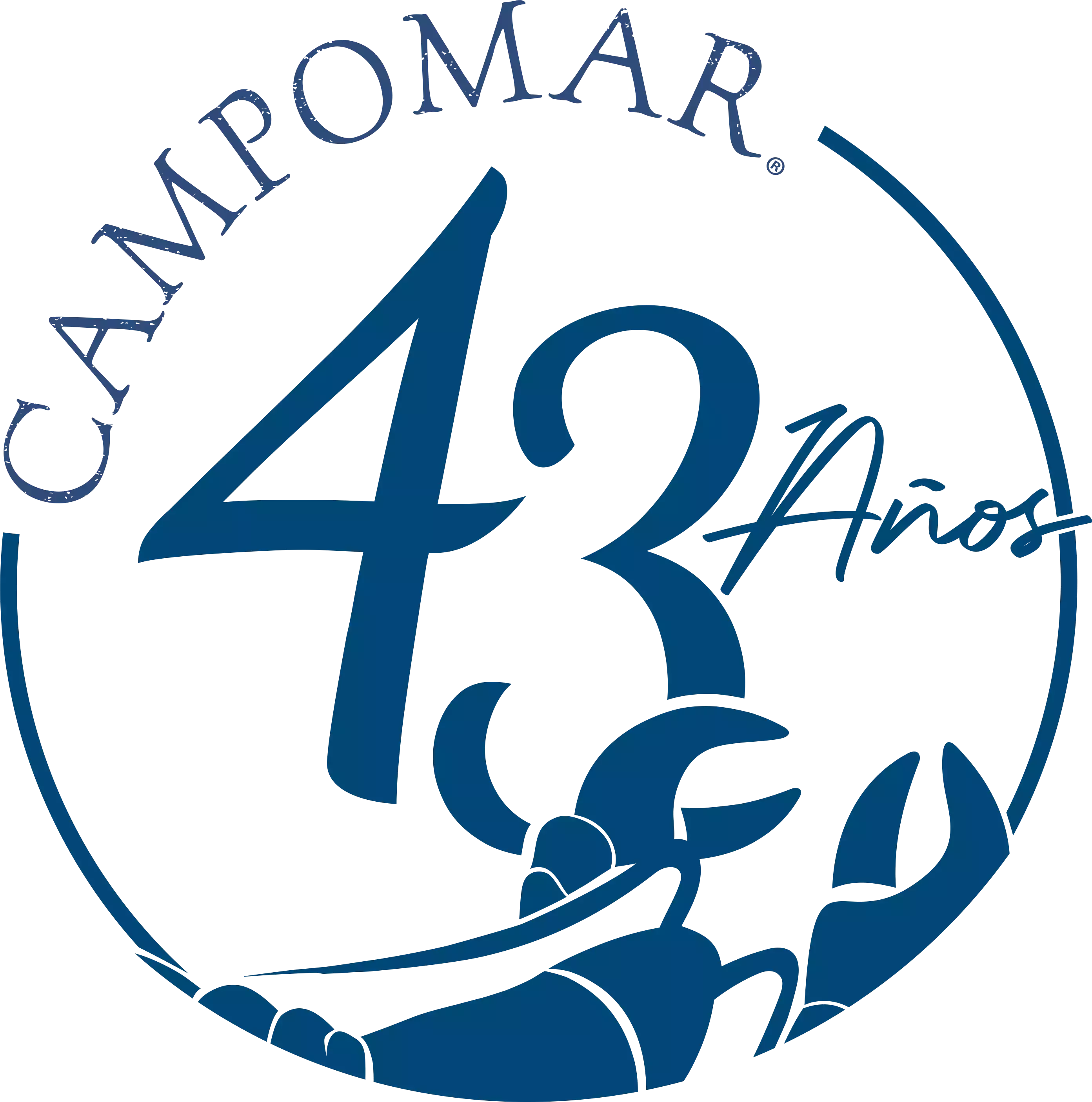 logo 43